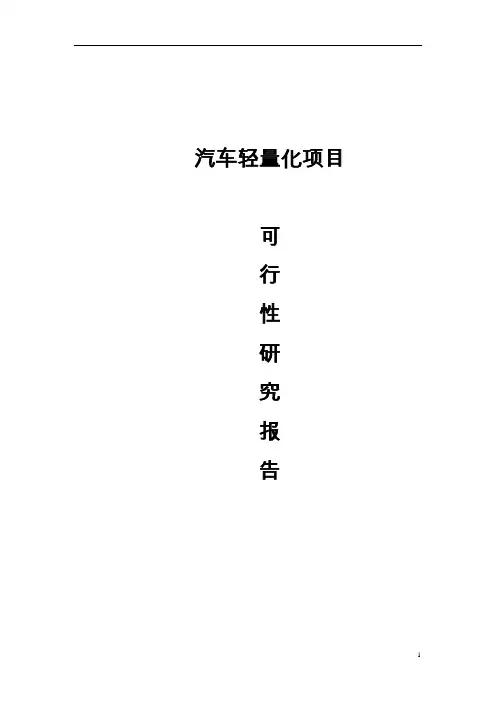 汽车轻量化项目可行性研究报告