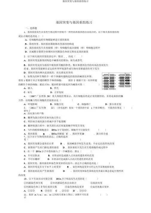 基因突变与基因重组练习