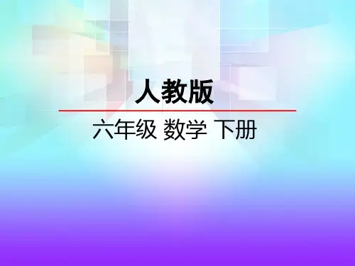 人教数学六年级下册数与代数(1)数的认识