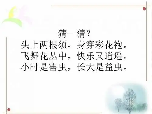 四年级美术上册第14课蝴蝶落我家课件3湘美版