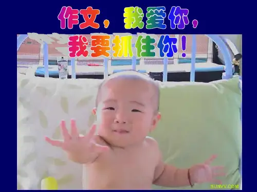 写作高分策略