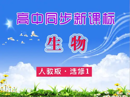 高中生物复习课件目录