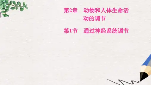 高中生物第二章动物和人体生命活动的调节第1节通过神经系统调节课件新人教版必修3