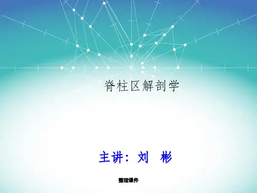 《脊柱区局部解剖学》