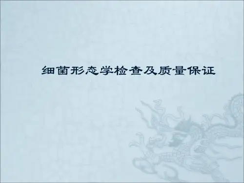 细菌形态学检查