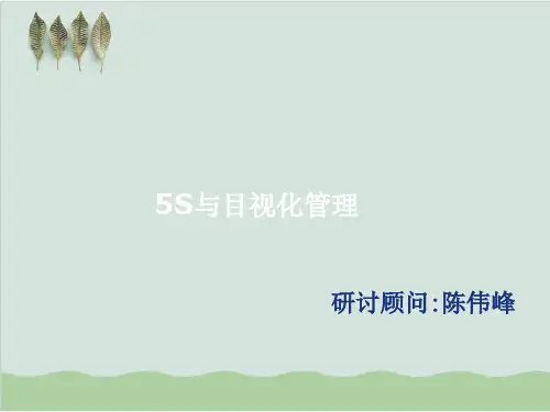 5S与目视化管理教材PPT课件( 108页)