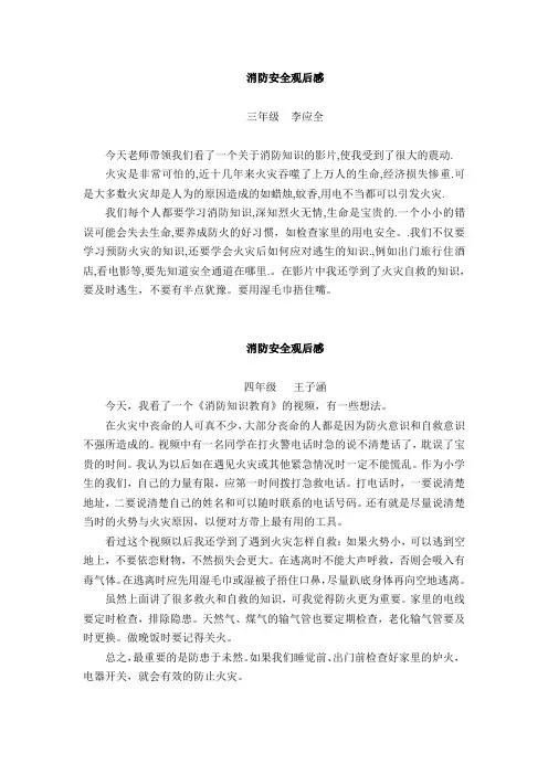 消防安全观后感