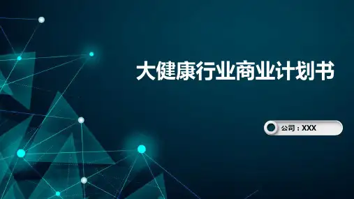 大健康行业商业计划书