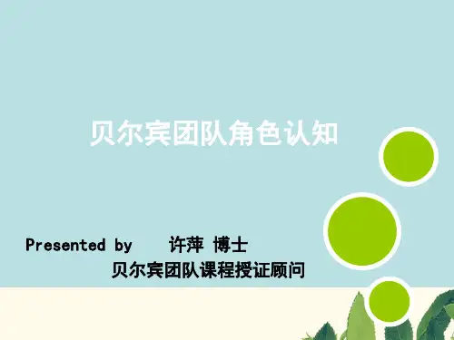 贝尔宾团队建设工作坊--