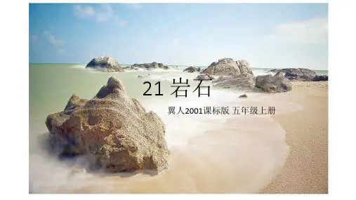 五年级上册科学课件21岩石 冀教版 (共9页)PPT