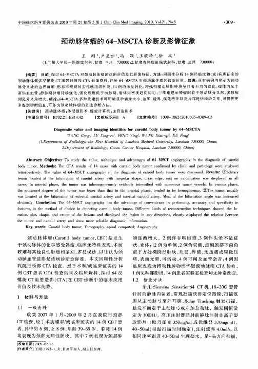 颈动脉体瘤的64-MSCTA诊断及影像征象