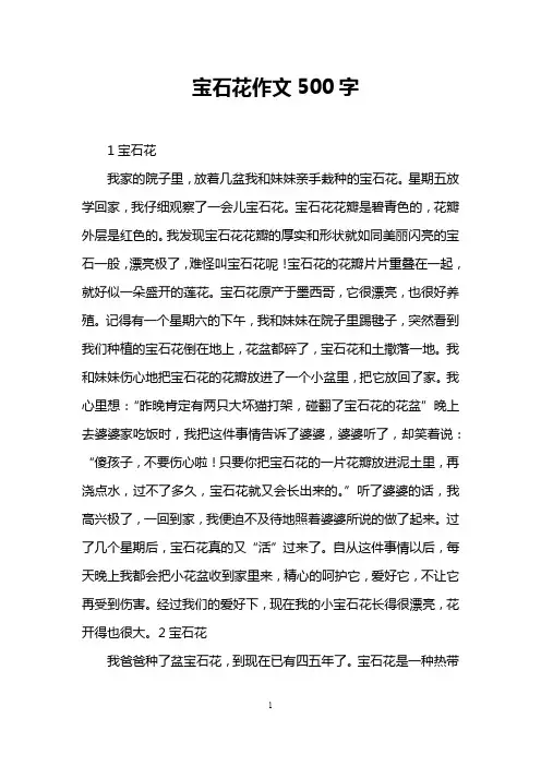 宝石花作文500字