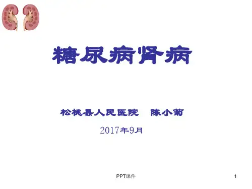 糖尿病肾病的护理  ppt课件