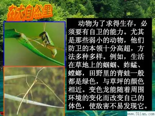 7.3 自我保护 全