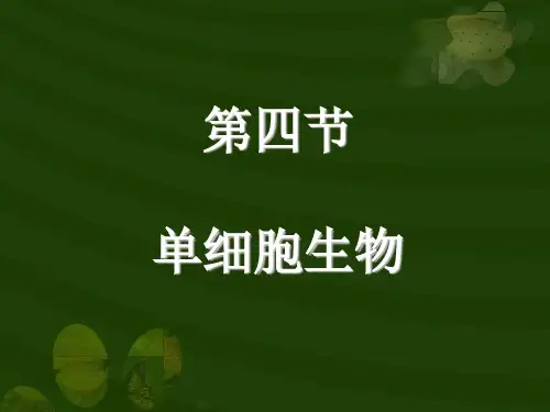 单细胞生物