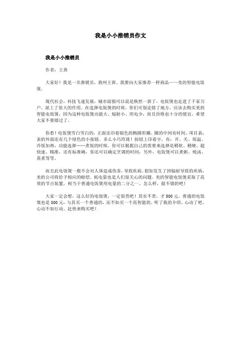我是小小推销员作文