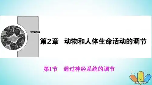 高中生物第二章动物和人体生命活动的调节第1节通过神