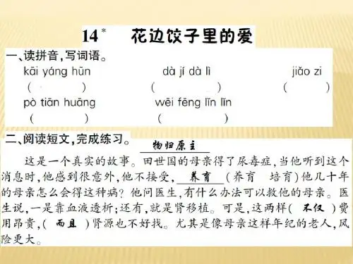 六年级上册语文课件 - 14.花边饺子里的爱     语文S版 (共7张PPT)