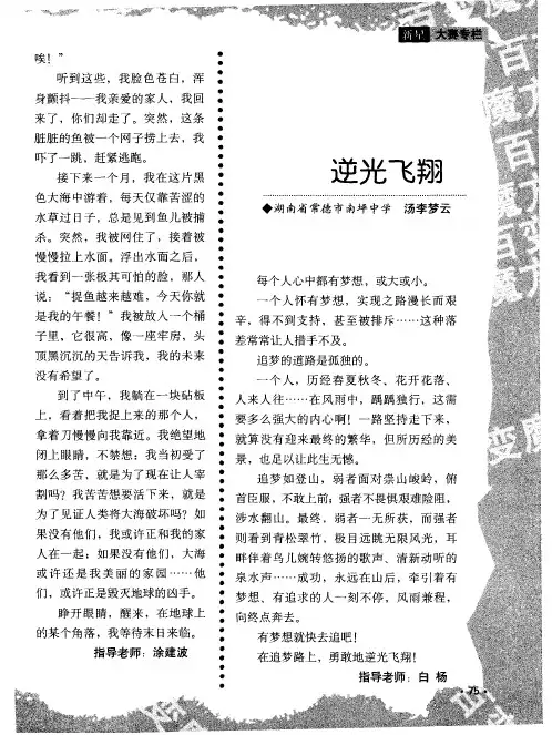 逆光飞翔