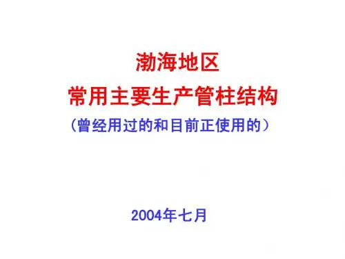 生产管柱及防砂演示