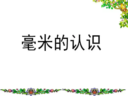 【创意版】毫米的认识练习题.ppt