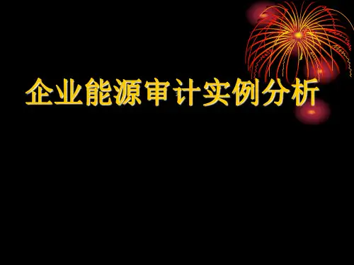 能源审计案例讲解