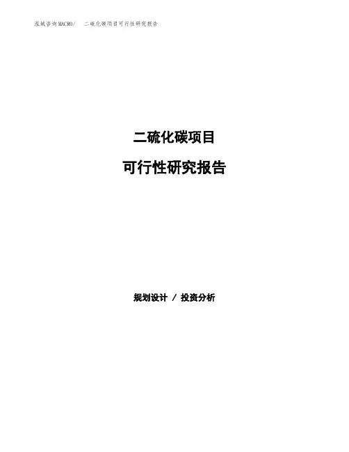 二硫化碳项目可行性研究报告发改委立项模板 (1)