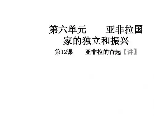 人教版九年级历史下册同步教学课件专题12 亚非拉的奋起