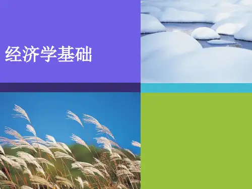 3经济学基础(第三章)