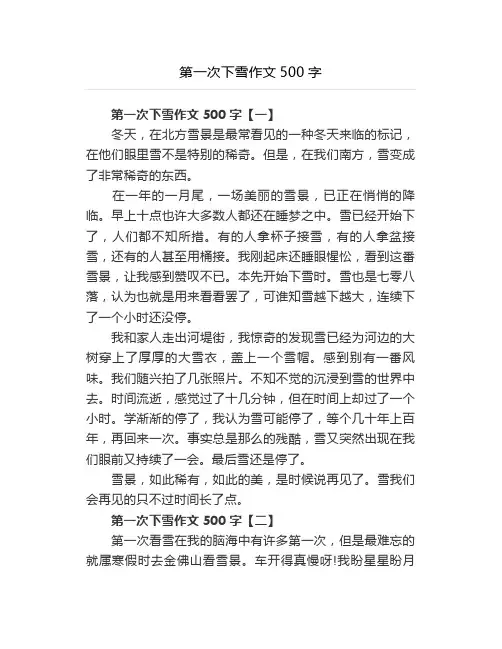 第一次下雪作文500字