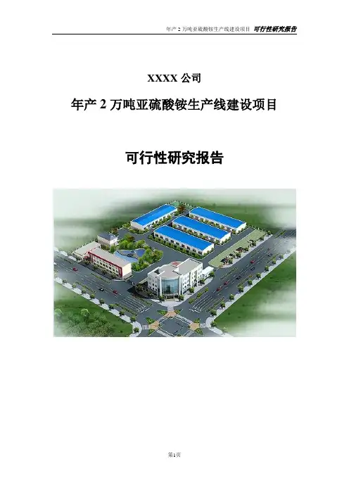 年产2万吨亚硫酸铵生产线建设项目可行性研究报告