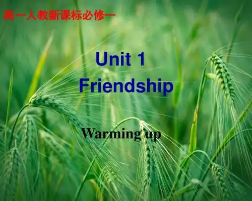 Unit 1 Friendship Warming up课件 新人教版必修1课件