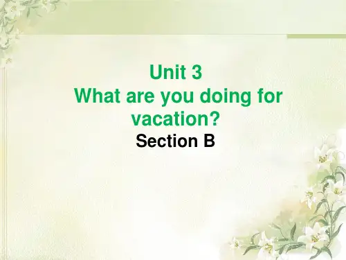 Unit-3-What-are-you-doing-for-vacationSection-B市公开