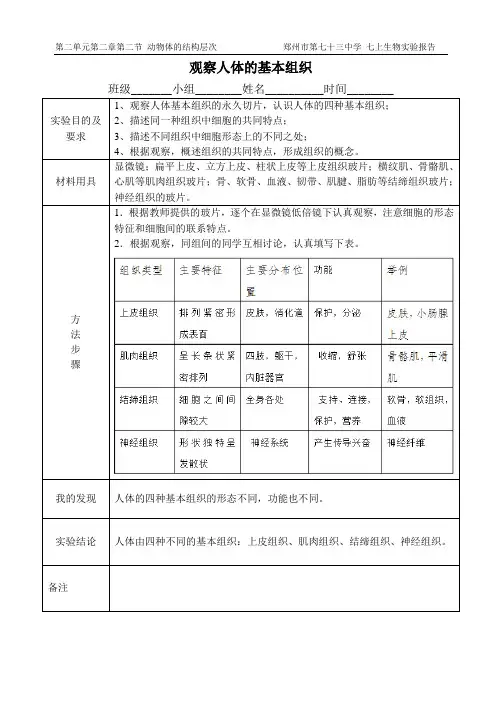 观察人体的基本组织实验报告