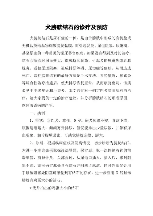 犬膀胱结石的诊疗及预防