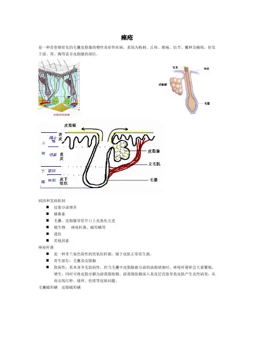常见疾病的预防