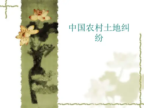 中国农村土地纠纷.