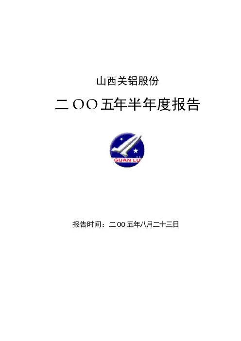 山西某公司的半年度报告