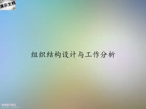 组织结构设计与工作分析