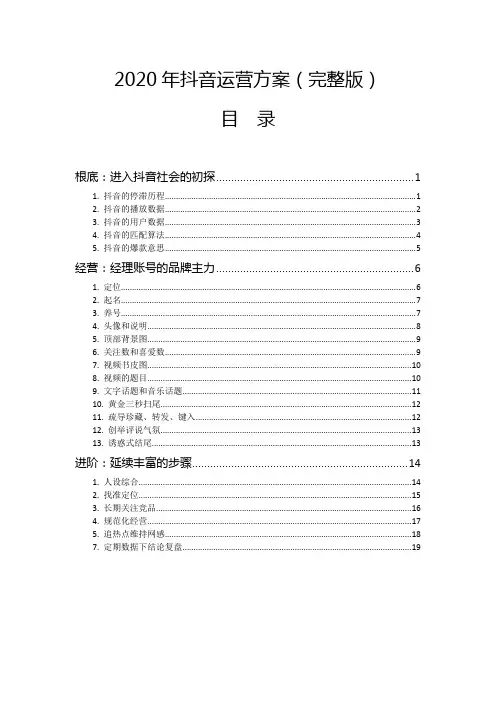 2020年抖音运营方案