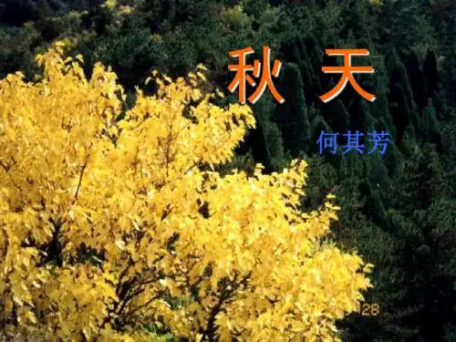 z秋天
