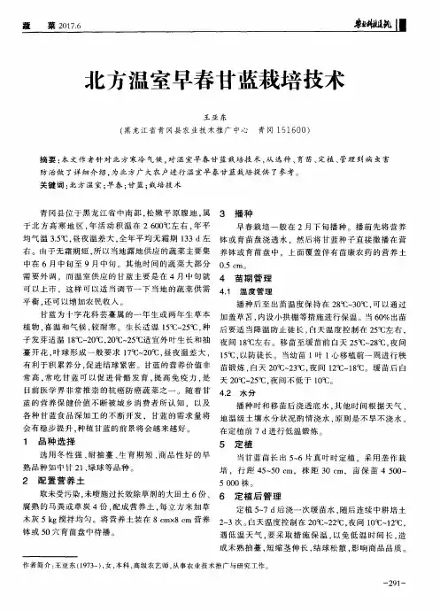 北方温室早春甘蓝栽培技术