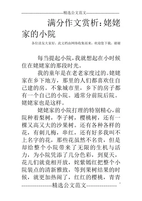 满分作文赏析：姥姥家的小院