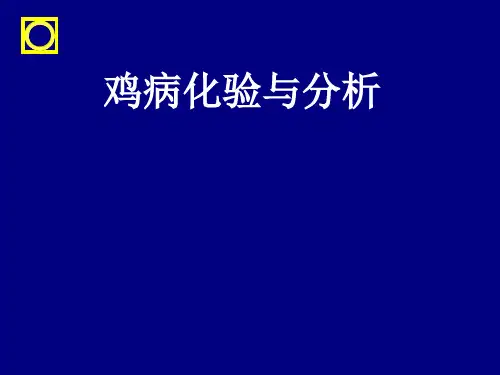 鸡病化验与分析