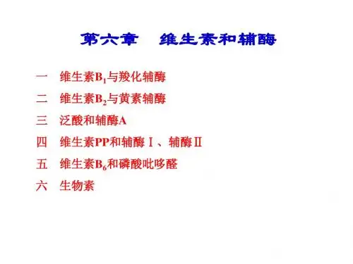 6-维生素和辅酶