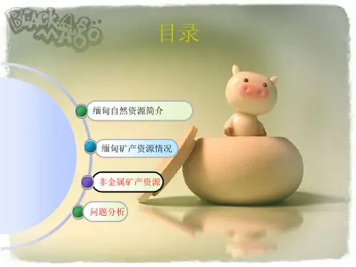 缅甸自然资源简介