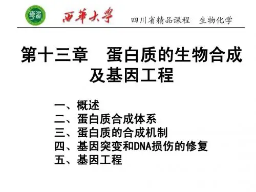 第十三章 蛋白质的生物合成及基因工程
