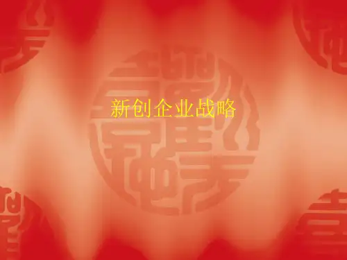 新创企业战略