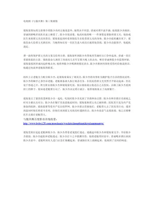 电视剧《与狼共舞》第3集剧情介绍
