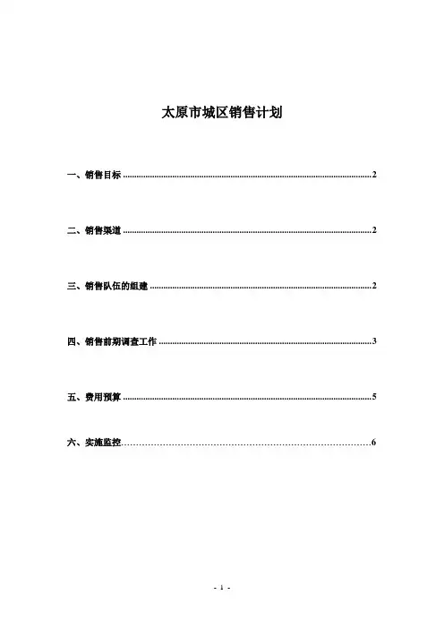 国内著名快消品公司营销计划